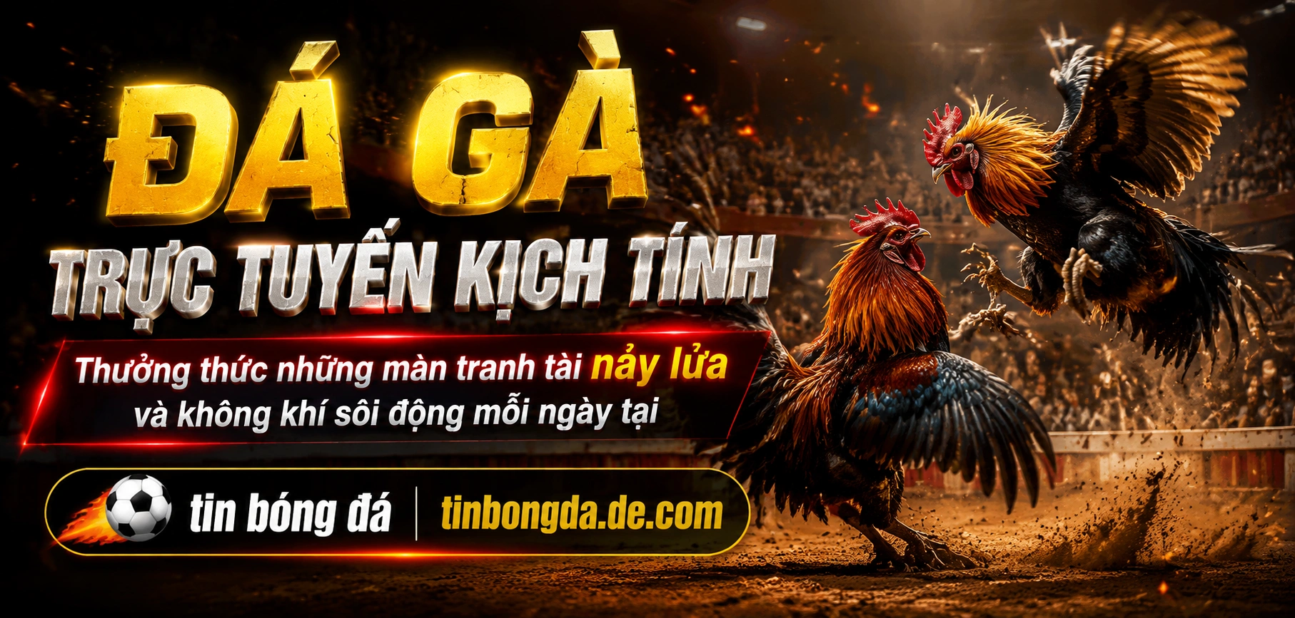 tinbongda-banner-slots