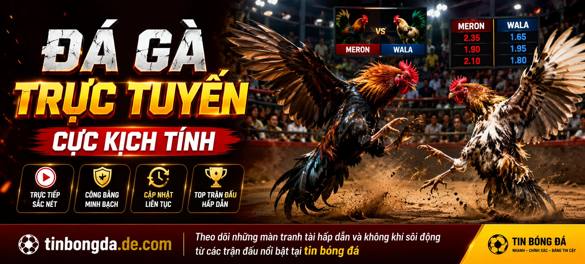 Đá gà trực tuyến với giao diện xem trận và tỷ lệ rõ ràng