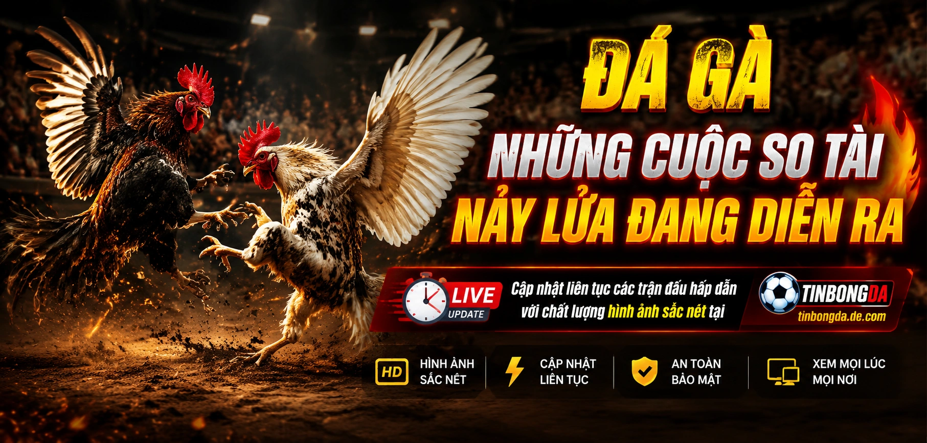 Khung xem live đá gà online với hình ảnh rõ và bố cục gọn