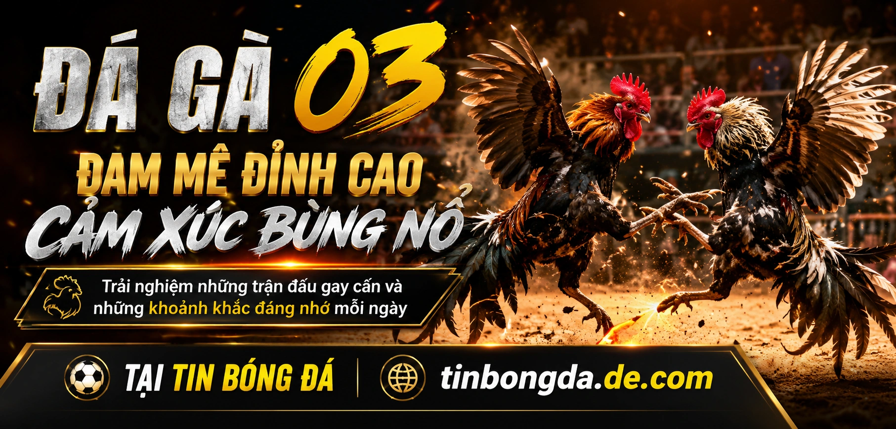 Trận đá gà Campuchia hiển thị trên giao diện xem nhanh